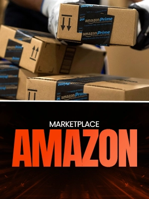 capa---modulos-LPamazon